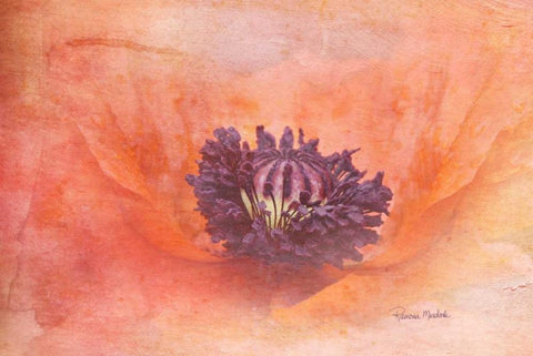 Lucky to be Me White Modern Wood Framed Art Print with Double Matting by Murdock, Ramona