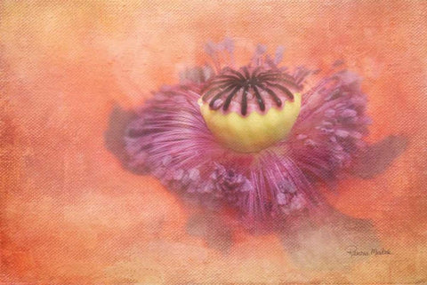 The Way She Glows Black Ornate Wood Framed Art Print with Double Matting by Murdock, Ramona