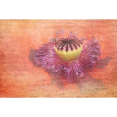 The Way She Glows White Modern Wood Framed Art Print by Murdock, Ramona