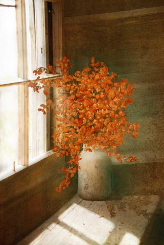 Rustic Bouquet White Modern Wood Framed Art Print with Double Matting by Murdock, Ramona