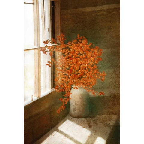 Rustic Bouquet Black Modern Wood Framed Art Print with Double Matting by Murdock, Ramona