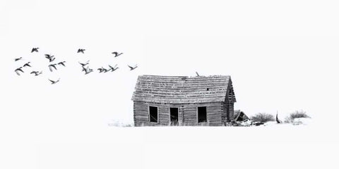 Lonesome but Peaceful White Modern Wood Framed Art Print with Double Matting by Murdock, Ramona