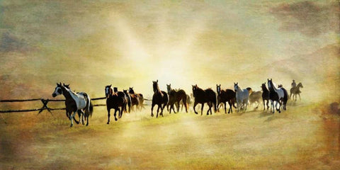 Headed Home II Black Ornate Wood Framed Art Print with Double Matting by Murdock, Ramona