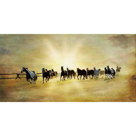 Headed Home II Black Modern Wood Framed Art Print by Murdock, Ramona