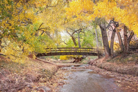 Teasdale Bridge White Modern Wood Framed Art Print with Double Matting by Murdock, Ramona