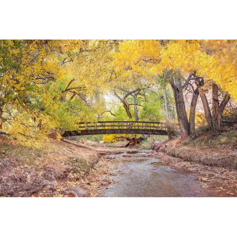 Teasdale Bridge Black Modern Wood Framed Art Print by Murdock, Ramona