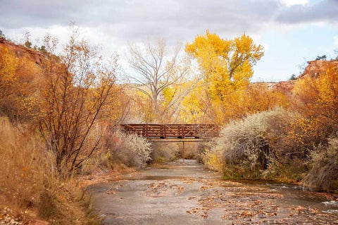 Bridge in Teasdale White Modern Wood Framed Art Print with Double Matting by Murdock, Ramona