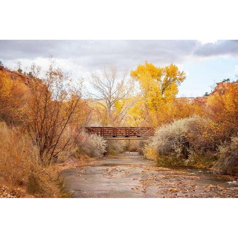 Bridge in Teasdale White Modern Wood Framed Art Print by Murdock, Ramona