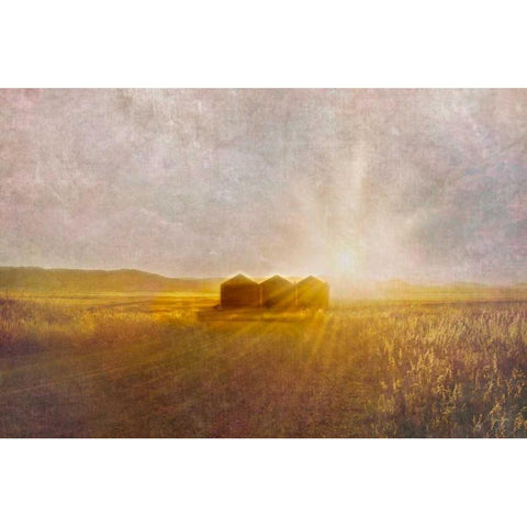 Open Spaces Gold Ornate Wood Framed Art Print with Double Matting by Murdock, Ramona