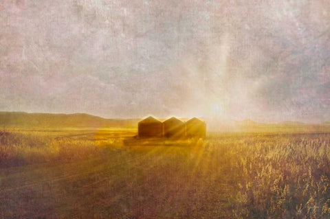 Open Spaces White Modern Wood Framed Art Print with Double Matting by Murdock, Ramona