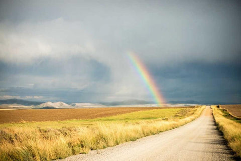Wide Open Spaces Black Ornate Wood Framed Art Print with Double Matting by Murdock, Ramona