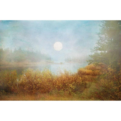 Foggy Sunrise Gold Ornate Wood Framed Art Print with Double Matting by Murdock, Ramona