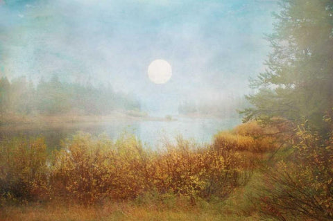 Foggy Sunrise Black Ornate Wood Framed Art Print with Double Matting by Murdock, Ramona