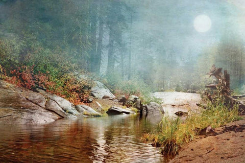 Foggy Fishin Hole White Modern Wood Framed Art Print with Double Matting by Murdock, Ramona