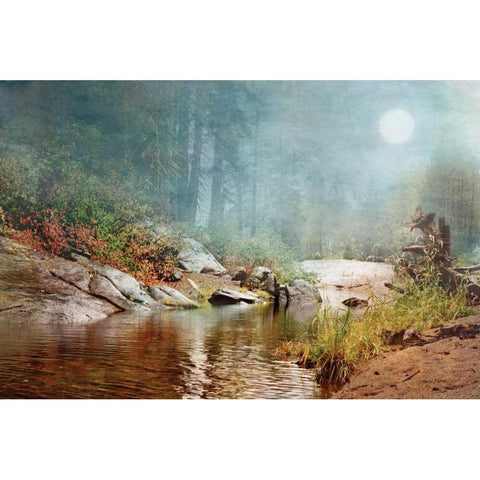Foggy Fishin Hole Black Modern Wood Framed Art Print by Murdock, Ramona