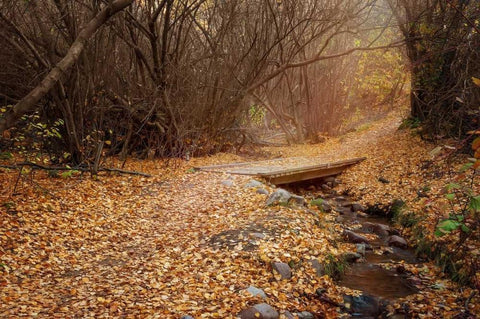 City Creek White Modern Wood Framed Art Print with Double Matting by Murdock, Ramona