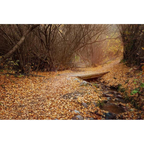 City Creek Black Modern Wood Framed Art Print by Murdock, Ramona