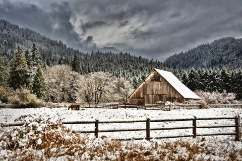 Winter Storm White Modern Wood Framed Art Print with Double Matting by Murdock, Ramona