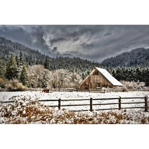 Winter Storm White Modern Wood Framed Art Print by Murdock, Ramona