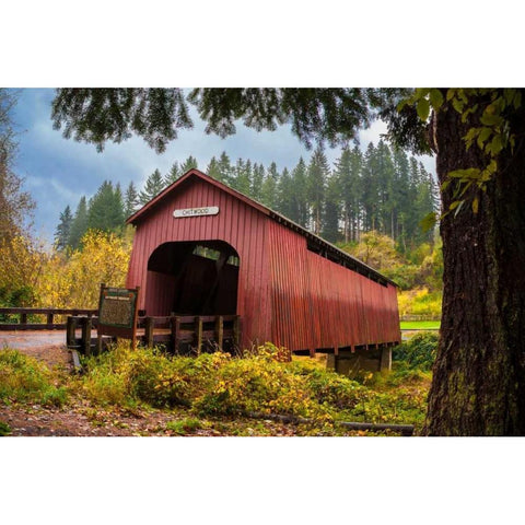 Chitwood Bridge White Modern Wood Framed Art Print by Murdock, Ramona