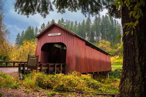 Chitwood Bridge White Modern Wood Framed Art Print with Double Matting by Murdock, Ramona