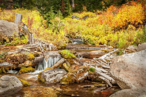 Alpine Waterfall White Modern Wood Framed Art Print with Double Matting by Murdock, Ramona