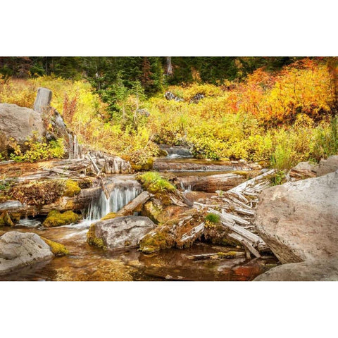 Alpine Waterfall Black Modern Wood Framed Art Print with Double Matting by Murdock, Ramona