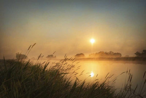 Misty Morning White Modern Wood Framed Art Print with Double Matting by Murdock, Ramona