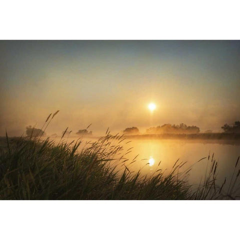 Misty Morning Black Modern Wood Framed Art Print by Murdock, Ramona