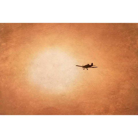 Early Morning Flight Gold Ornate Wood Framed Art Print with Double Matting by Murdock, Ramona