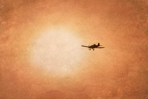 Early Morning Flight Black Ornate Wood Framed Art Print with Double Matting by Murdock, Ramona