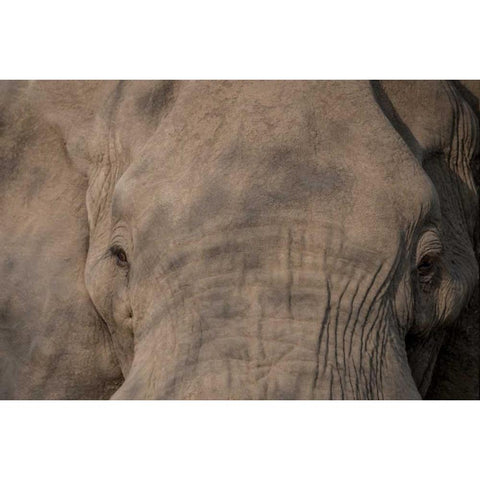 Nellie Phant Black Modern Wood Framed Art Print with Double Matting by Murdock, Ramona