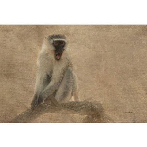 Primate Gold Ornate Wood Framed Art Print with Double Matting by Murdock, Ramona