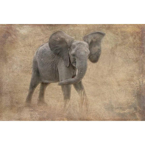 Young Buck Gold Ornate Wood Framed Art Print with Double Matting by Murdock, Ramona