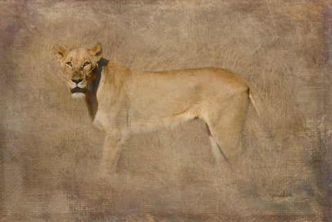 Queen Black Ornate Wood Framed Art Print with Double Matting by Murdock, Ramona