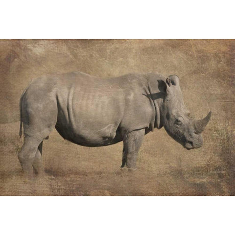 Tank Black Modern Wood Framed Art Print by Murdock, Ramona