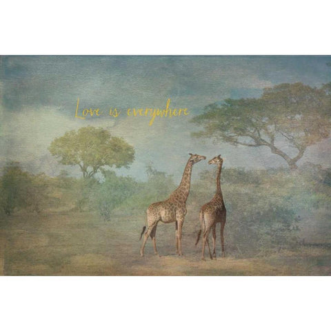 Love is Everywhere Black Modern Wood Framed Art Print with Double Matting by Murdock, Ramona