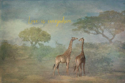 Love is Everywhere White Modern Wood Framed Art Print with Double Matting by Murdock, Ramona
