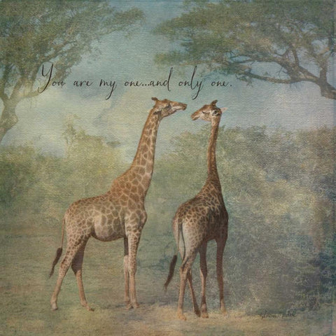 My One and Only White Modern Wood Framed Art Print with Double Matting by Murdock, Ramona