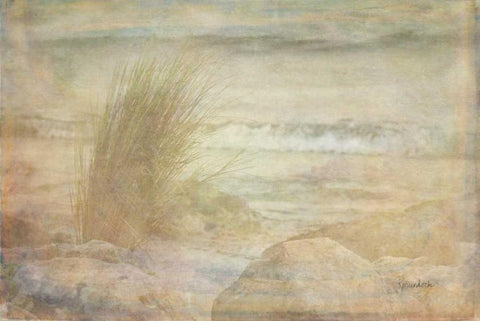 Simple View Black Ornate Wood Framed Art Print with Double Matting by Murdock, Ramona