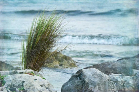 Simple View II White Modern Wood Framed Art Print with Double Matting by Murdock, Ramona