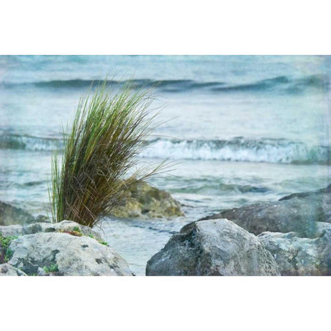 Simple View II Black Modern Wood Framed Art Print by Murdock, Ramona