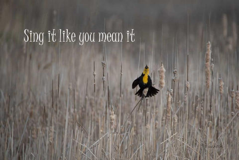 Sing White Modern Wood Framed Art Print with Double Matting by Murdock, Ramona