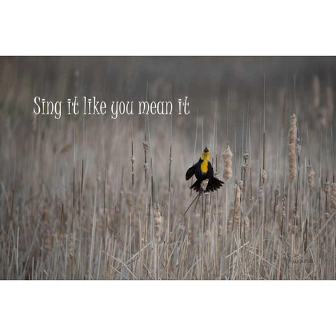 Sing White Modern Wood Framed Art Print by Murdock, Ramona