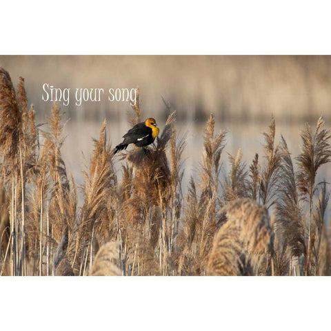 Sing II Gold Ornate Wood Framed Art Print with Double Matting by Murdock, Ramona