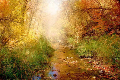 Stream of Light I White Modern Wood Framed Art Print with Double Matting by Murdock, Ramona