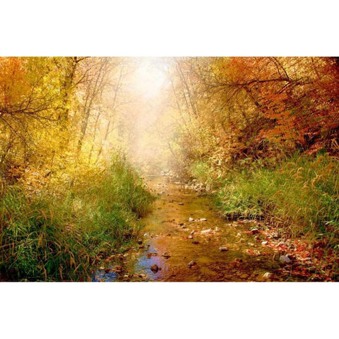 Stream of Light I Black Modern Wood Framed Art Print by Murdock, Ramona