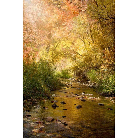 Streams of Light II White Modern Wood Framed Art Print by Murdock, Ramona