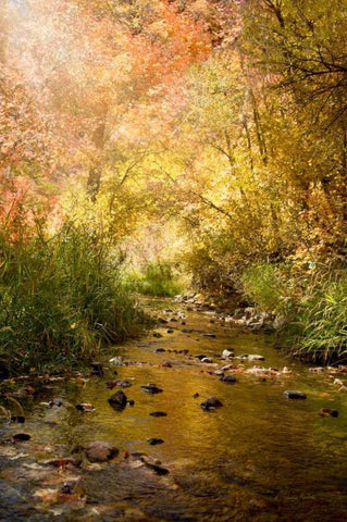 Streams of Light II Black Ornate Wood Framed Art Print with Double Matting by Murdock, Ramona