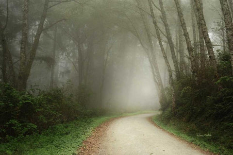 Follow the Light Black Ornate Wood Framed Art Print with Double Matting by Murdock, Ramona